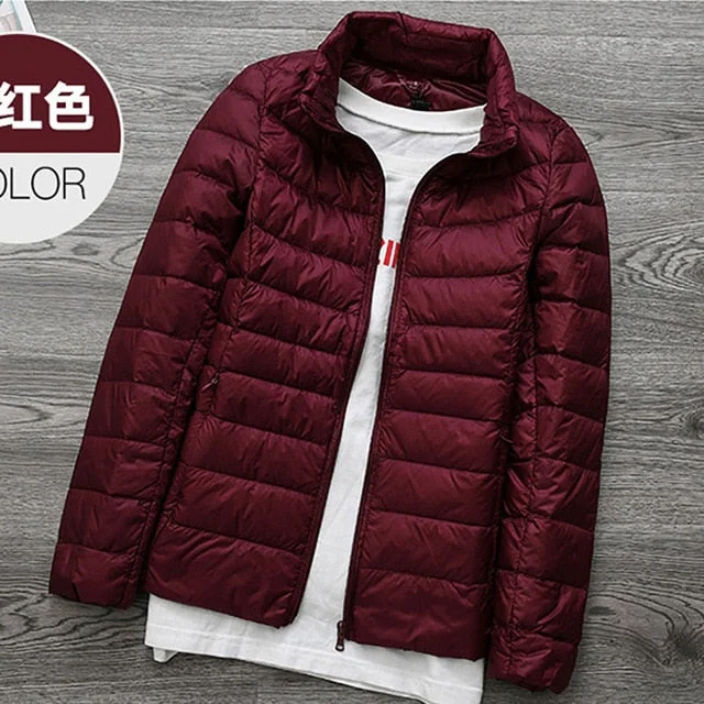 Wine Red / XL